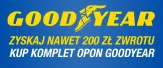 GoodyearWinter
