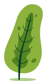 Drzewo