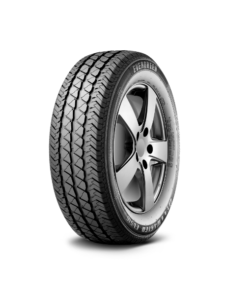 Evergreen DynaMaster EV516