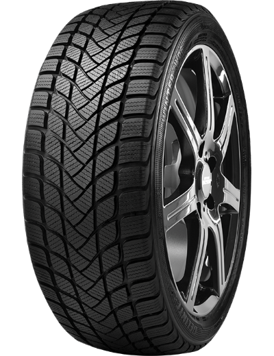 Delinte WD6 245/45 R18 100 V