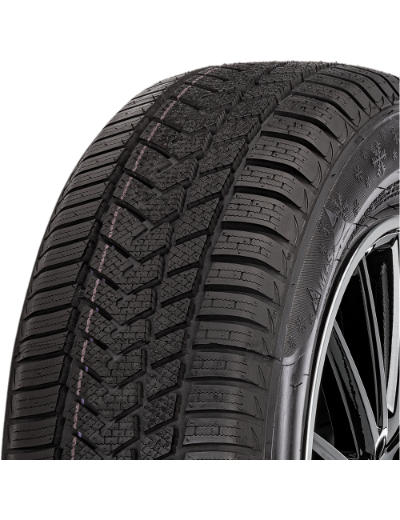 Sunny Wintermaxx NW211 225/35 R19 88 V XL