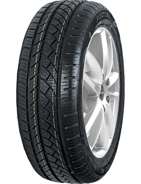 Fortuna Ecoplus 4S