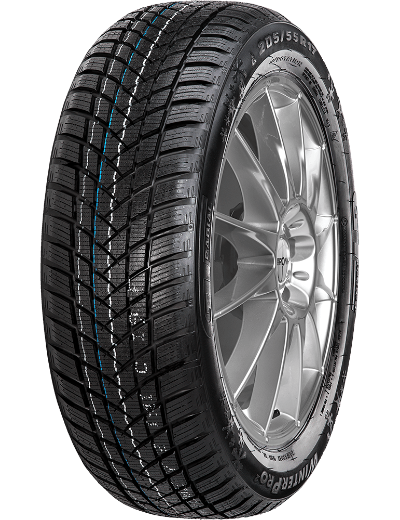 GT Radial WinterPro 2 205/55 R16 91 T