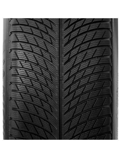 Michelin Pilot Alpin 5 SUV 285/45 R21 113 V XL