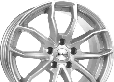 Alkatec RX10 Silver