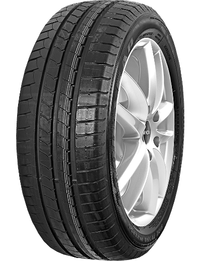 Goodyear EFFICIENTGRIP 255/40 R18 95 V RUN ON FLAT FP, *