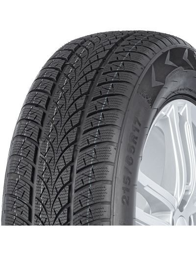 Triangle Winter X TW401 205/55 R19 97 V XL