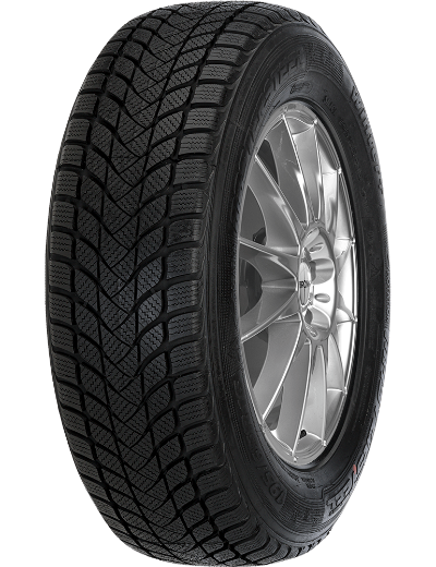 Mastersteel WINTER + W1 175/65 R14 82 H