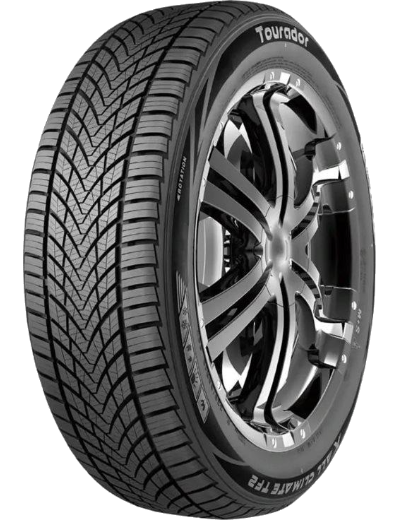 Tourador X All Climate TF2 195/65 R15 91 H