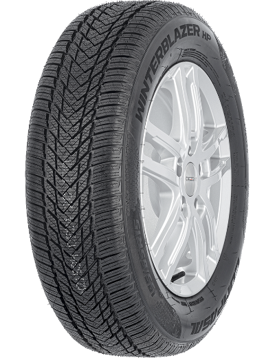 Compasal WinterBlazer HP 205/55 R16 91 H