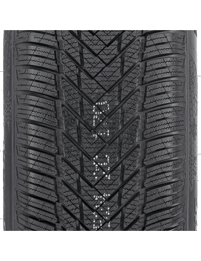 Compasal WinterBlazer HP 205/55 R16 91 H