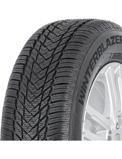 Compasal WinterBlazer HP 205/55 R16 91 H
