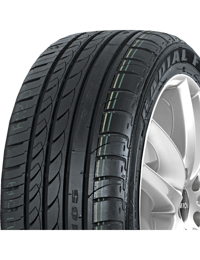 Minerva F105 225/30 R20 85 W XL