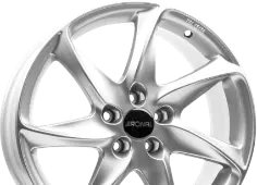Ronal R51