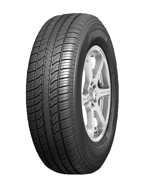 Evergreen EH22