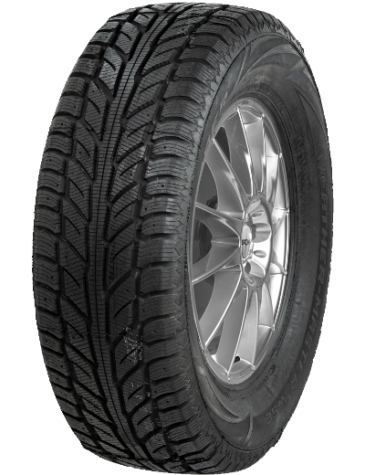 Cooper Weather-Master WSC 205/55 R16 91 T
