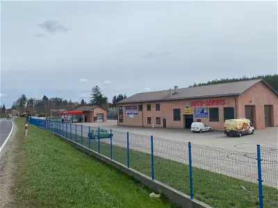 Kwiatek Automobil Marcelina Górecka