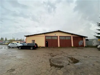 AUTO-GRYF