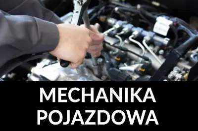 Auto Serwis Orzeszkowo 
