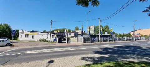 Piotr Musioł Wulkanizacja