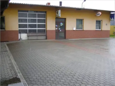 Auto Raf Rafał Plicht