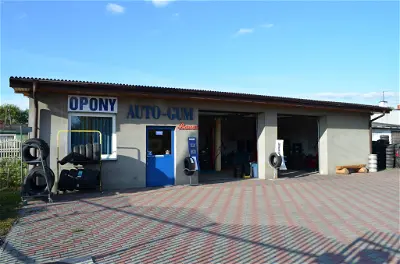 Auto-Gum Banaś Kamila